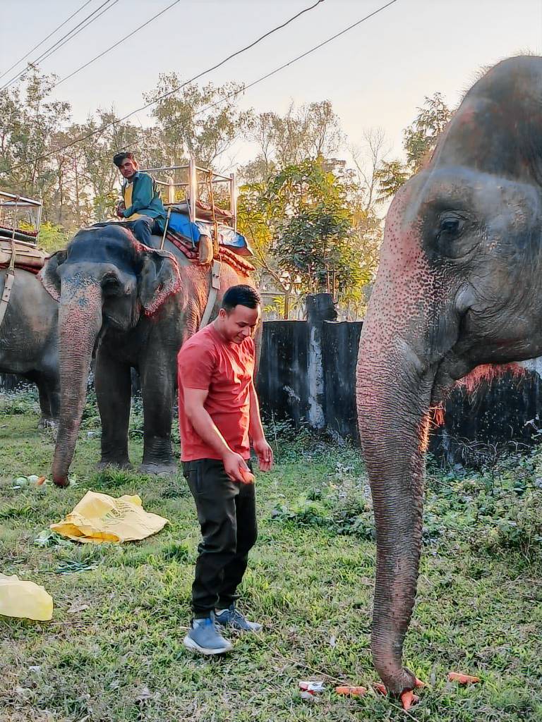 Sauraha Safari Resort — photo 3