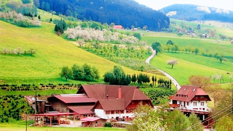 Ferienwohnung Zell am Harmersbach