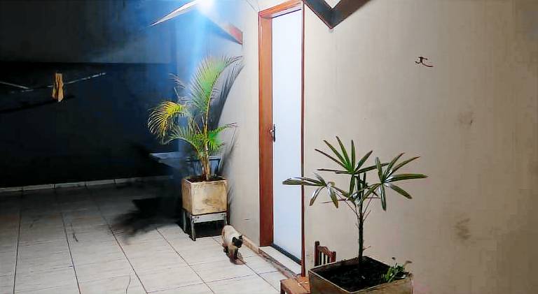 foto2