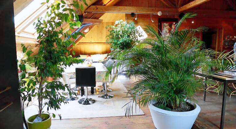 Les jardins d'armance — photo 4