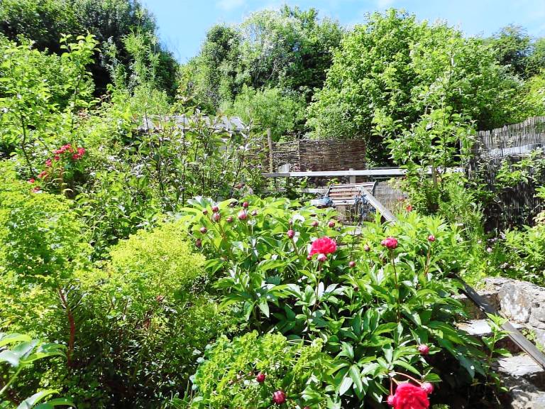 Cottage Gwbert