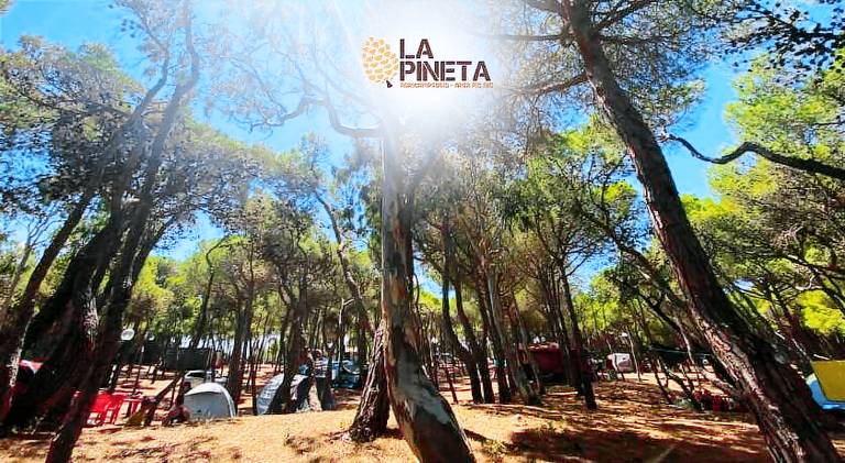 Agricampeggio La Pineta — photo 2