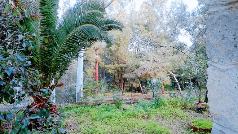 Villa with yard — photo 3