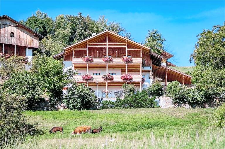 Camera privata Tires