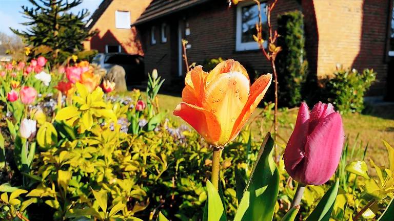 Ferienhaus Westerrönfeld