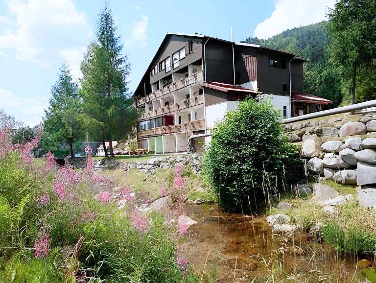 Le Couaroge Chalets et Appartements in La Bresse