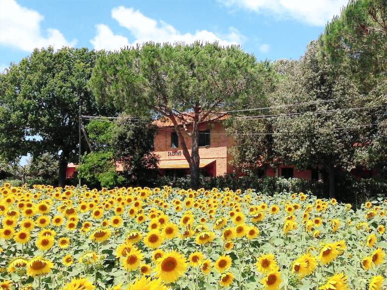 Agriturismo Principina A Mare