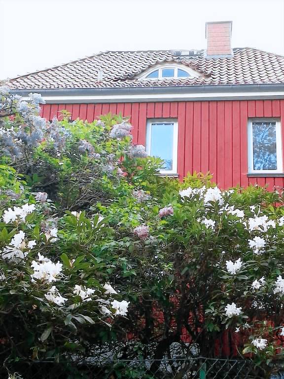 Ferienhaus Bad Sachsa