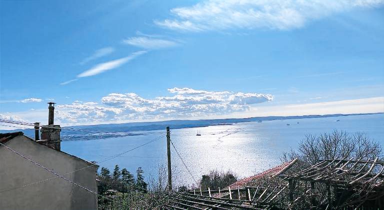 Nice rental apartment | Pet-friendly in Trieste
