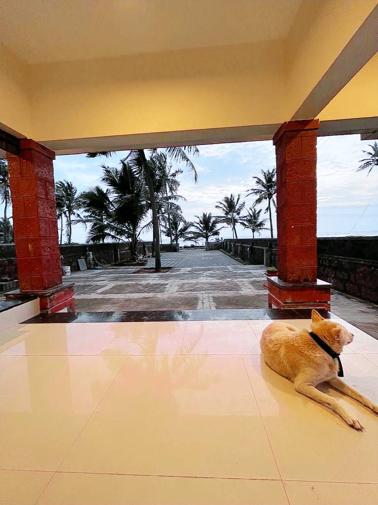 VishwaGeeta — photo 5