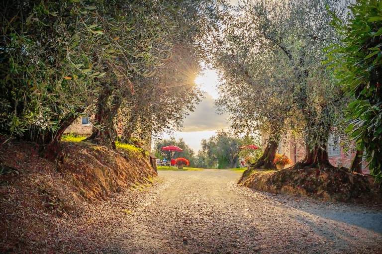 Principato di Toscana: Appartamento bilocale — photo 4