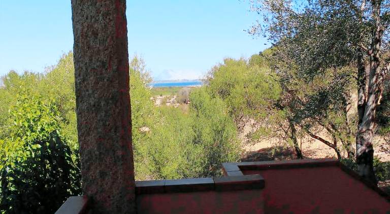 Rental apartment with patio & yard | Pets allowed in San Teodoro