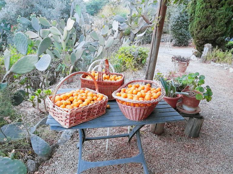 Villa with barbeque, garden & terrace | Nature view — photo 3