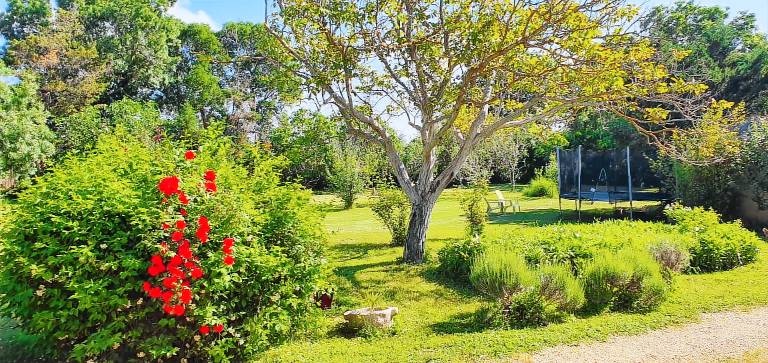 Vacation home with BBQ, terrace & yard | Pool view | Pets allowed — photo 5