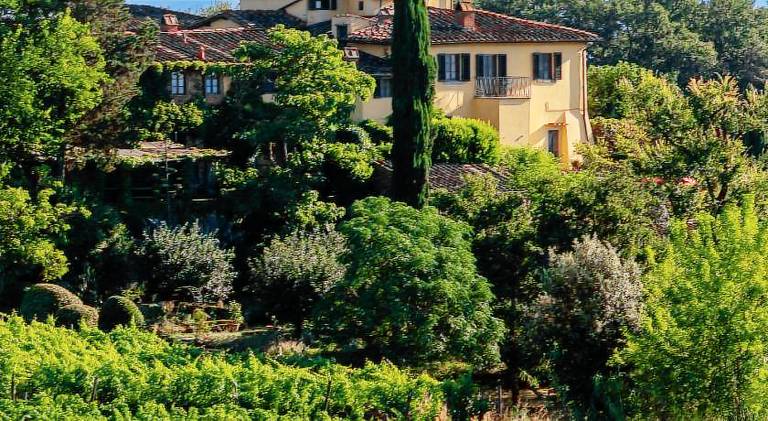 Farm with grill, patio & garden in Figline e Incisa Valdarno