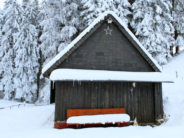 Ferienhaus mit Hund in Titisee-Neustadt f&uuml;r max. 4 Personen
