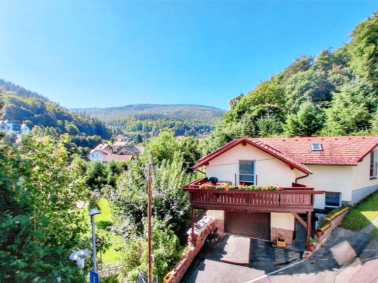 Ferienhaus am Rennsteig mit Blick ins Grüne