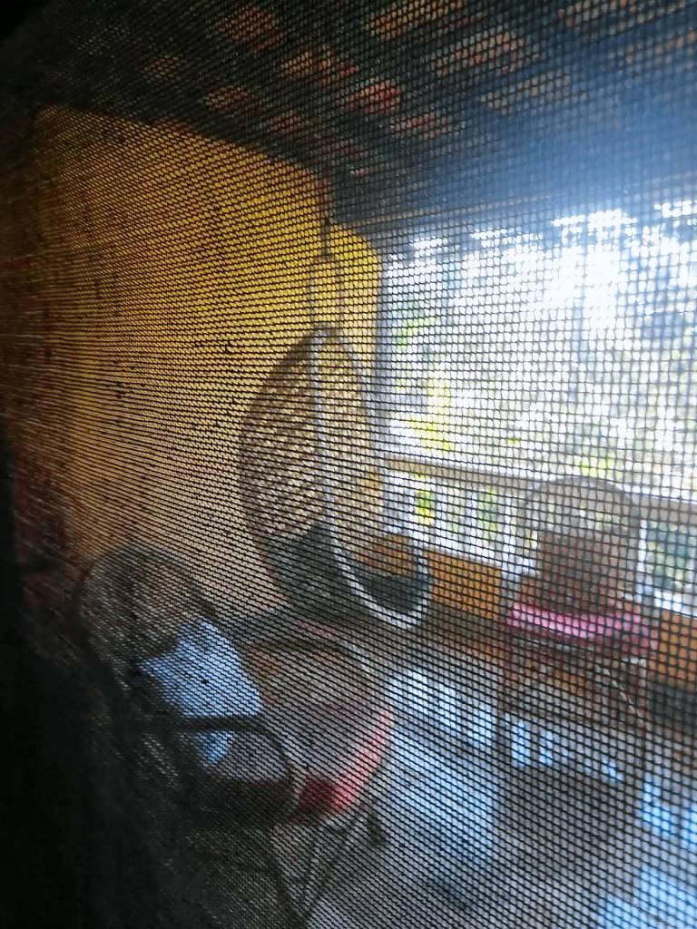 Holiday apartment with garden & pool | Close to the beach | Good for workation | Pets allowed — photo 3