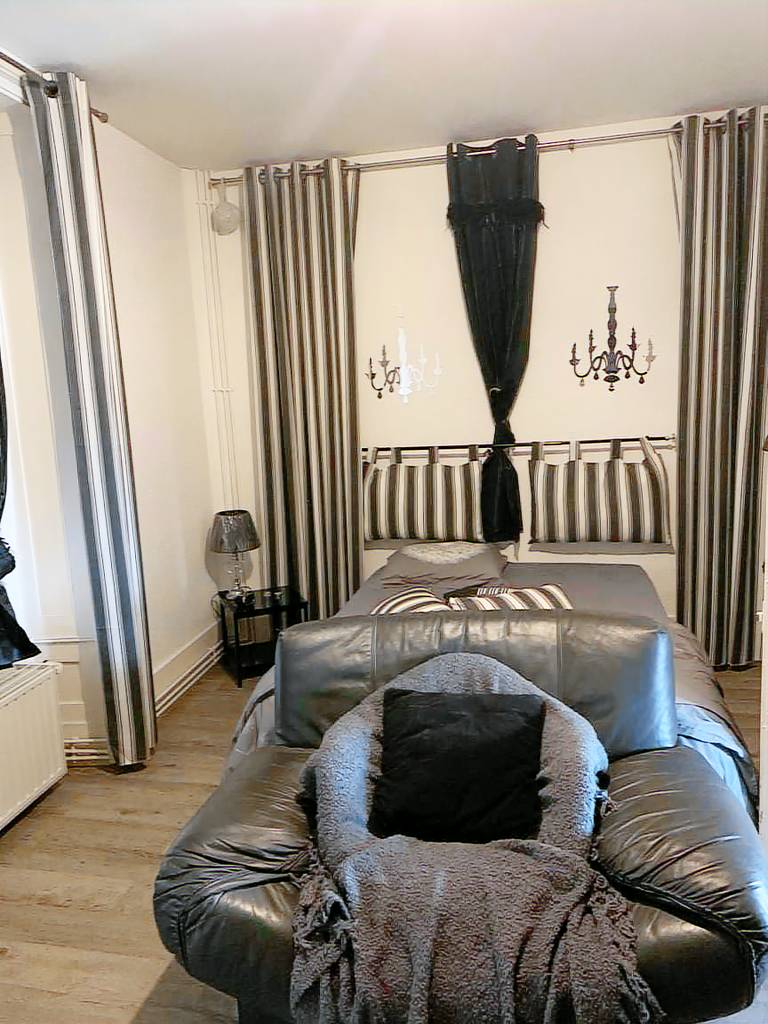 Apartment "Au Quai 1921" with Wi-Fi and Air Conditioning — photo 3