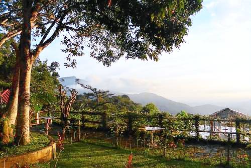 Finca San Antonio