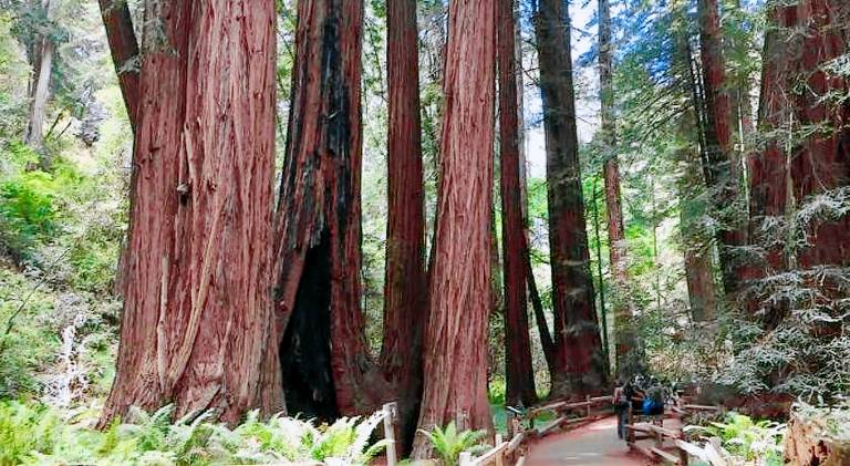 162 m&sup2; Ferienwohnung