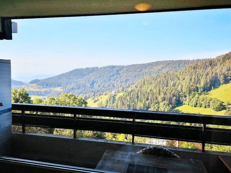 foto1