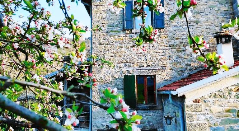 B&B Luna e Stelle — photo 5