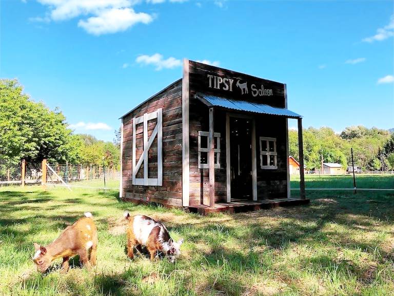 Mobile home Applegate