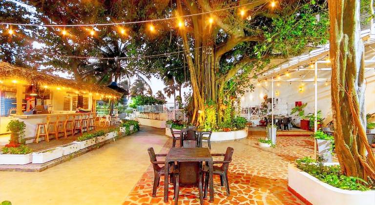 Hotel Playa Club — photo 4
