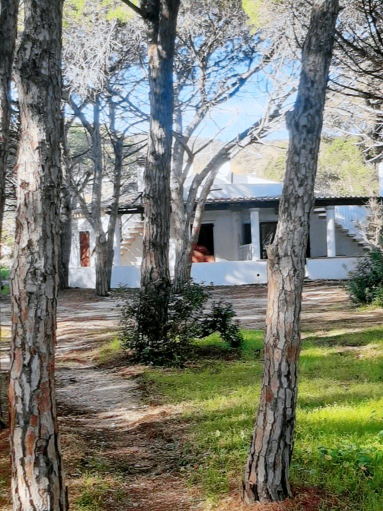 Rental apartment with barbecue, garden & patio | Sea view — photo 4