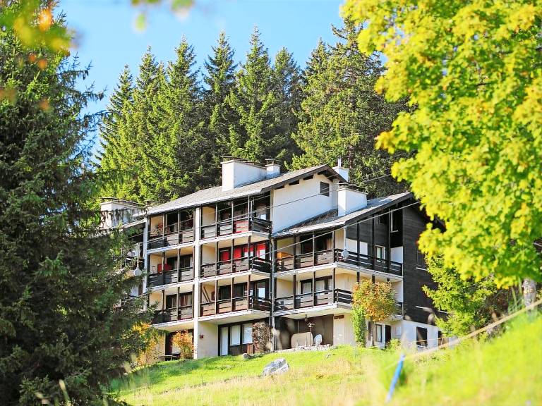Vakantiepark Gryon
