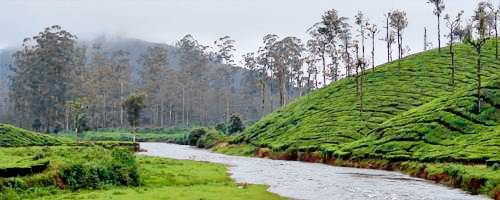 Bed and breakfast Valparai