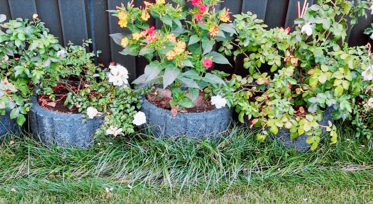 Ferienwohnung  Damme