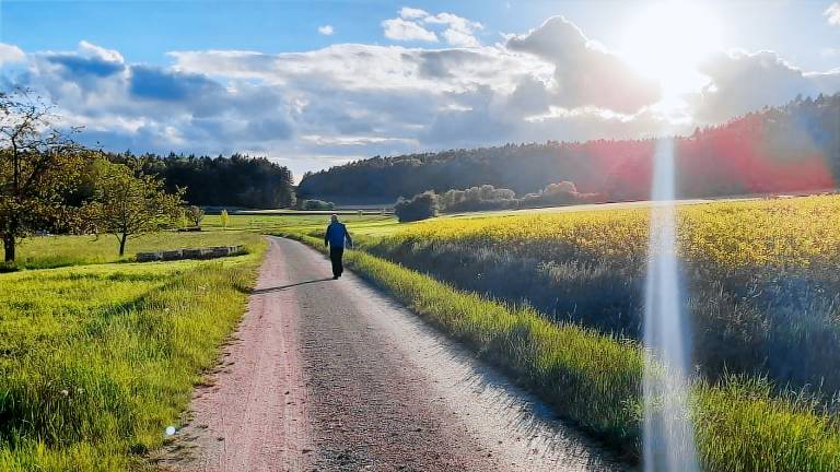 Ferienwohnung Sulzbach-Rosenberg