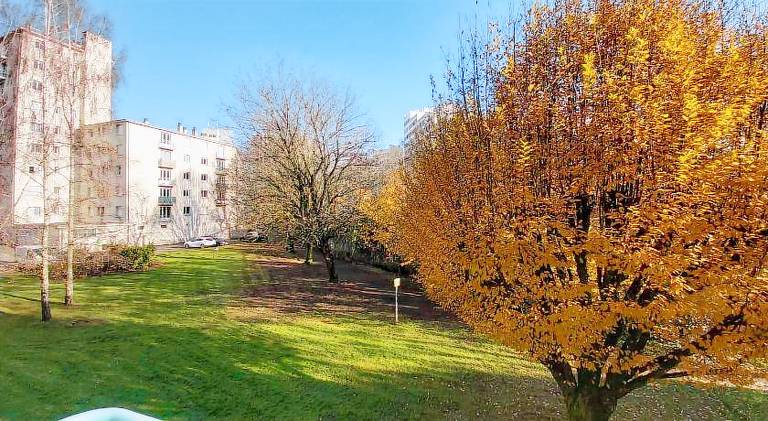 Rental apartment with terrace & garden — photo 4