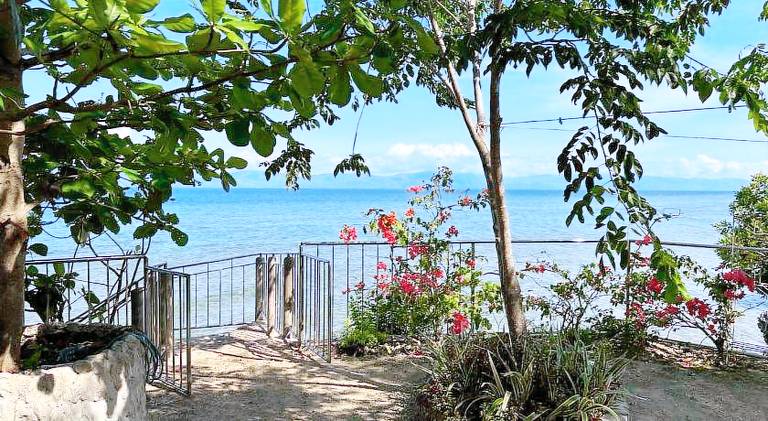 Nature Seaview — photo 4