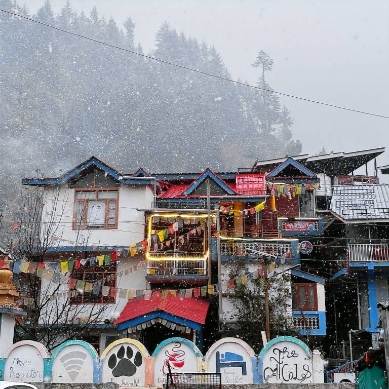 The Locals Manali — photo 4