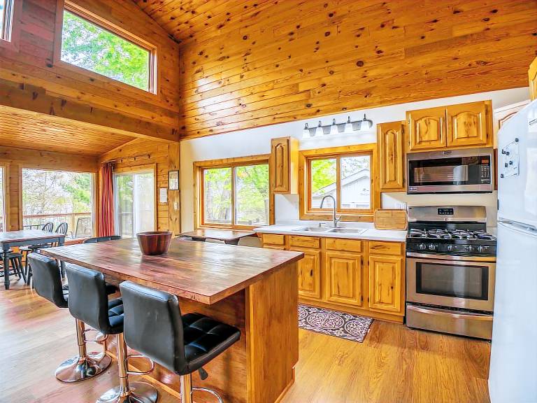 Cabin Turtle River