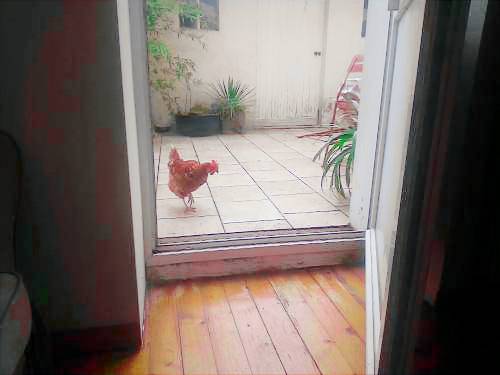 Bed and breakfast  Troo