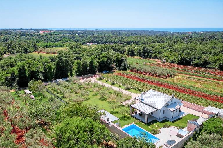 Villa Crystallina — photo 3