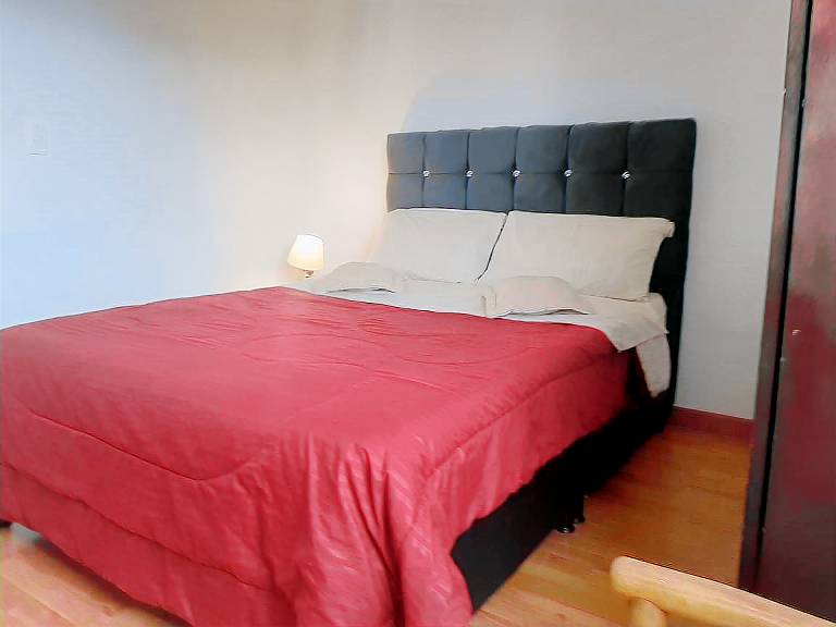 foto1