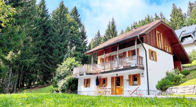 Wonderful apartment with garden & patio | Dogs allowed in Zrece