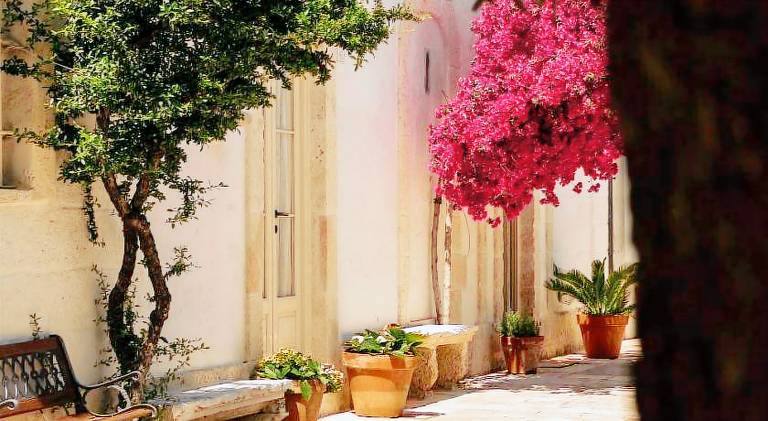Big rental apartment | Pets are welcome in Fasano