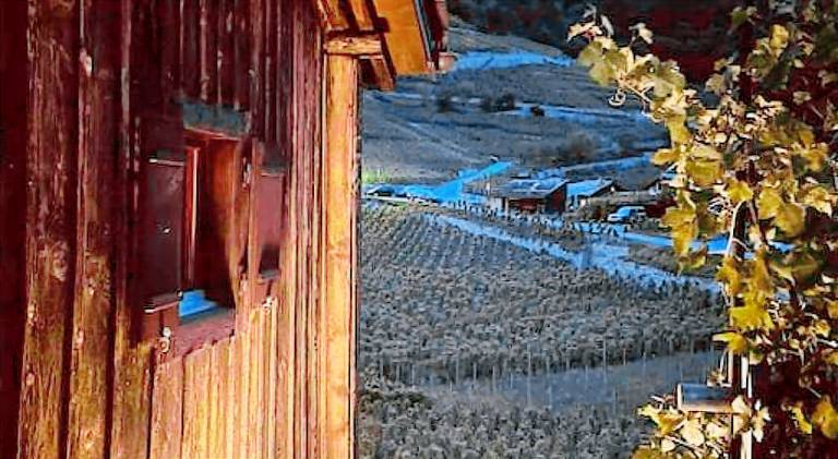 Chalet with 2 rooms for 4 persons in Martigny