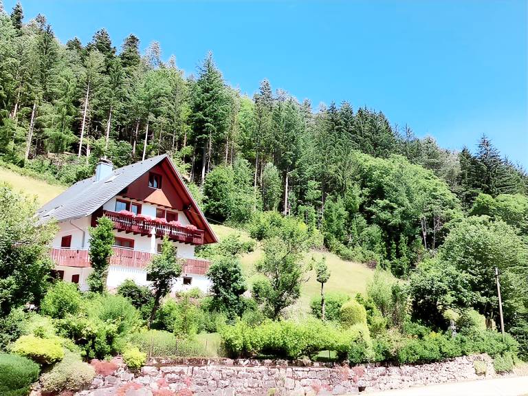 Ferienwohnung  Hornberg