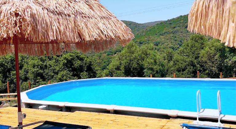 Farm with pool, patio & yard — photo 3