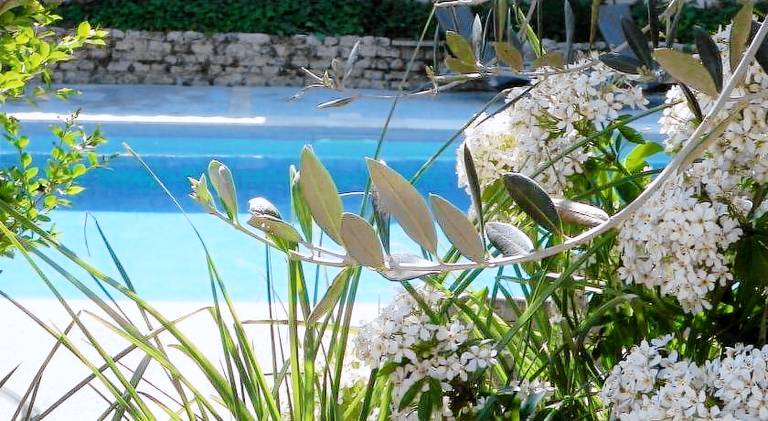Rental apartment with pool | Pets allowed in Le Bois-Plage-en-Re