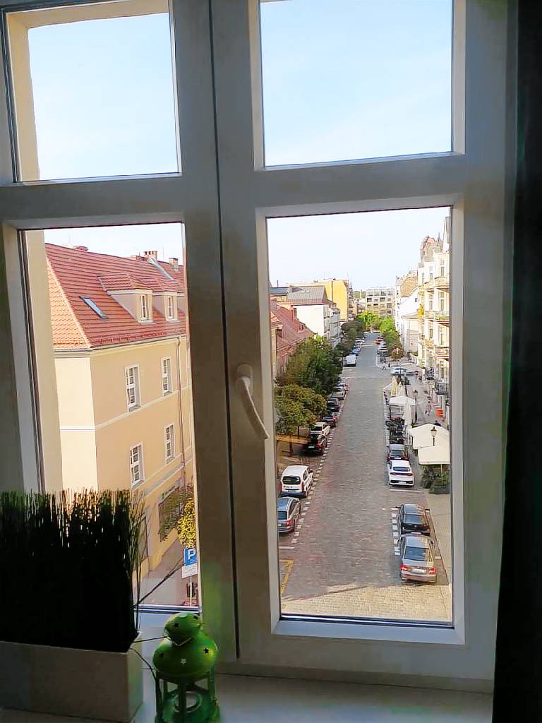 Green shiny flat in the center of old town Poznań — photo 5