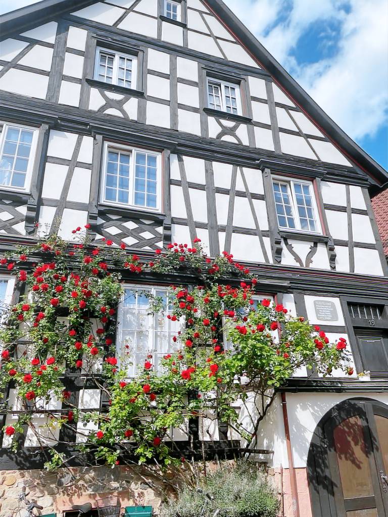 Fully equipped rental apartment | Good for workation | Pets are welcome in Offenburg