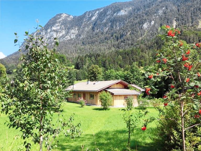 Bild zu 515eacf440351927a43d62ce08ca340e
